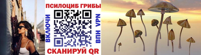 Псилоцибиновые грибы Psilocybe Калач