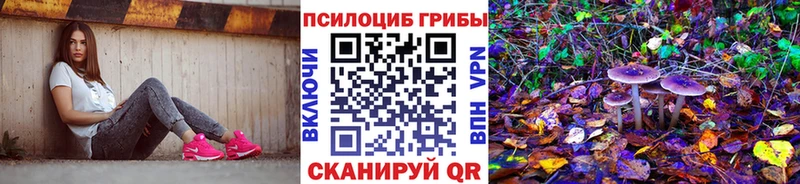 Купить закладки  Калач  Галлюциногенные грибы MAGIC MUSHROOMS 